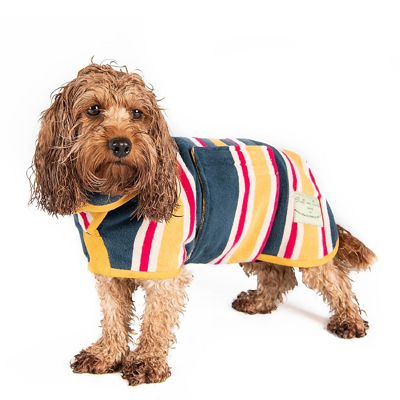 Ruff and Tumble Designer Dog Drying Coats for Short Legged Breeds Beach