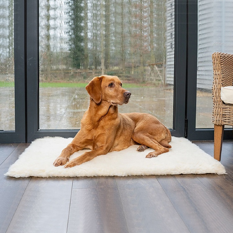 Ruff and Tumble Wool Fleece Dog Bed Topper