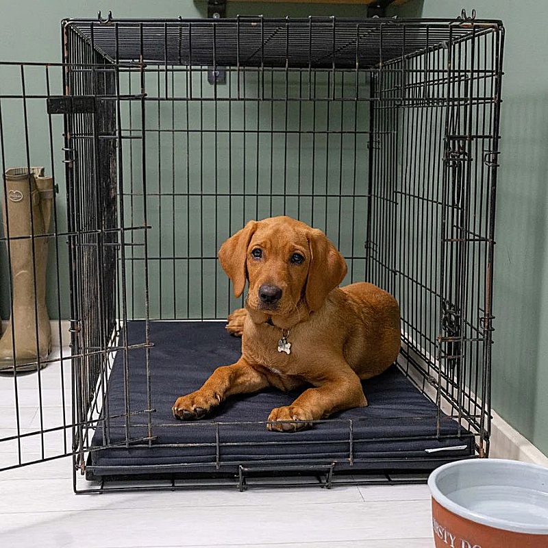 Ruff and Tumble Crate Mat / Boot Bed - Black