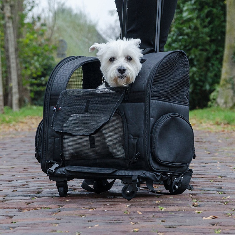 Collapsible rolling pet cart hotsell