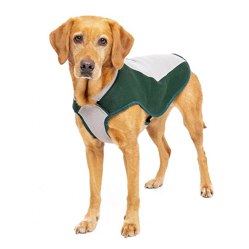 Ruff and Tumble Dog Cooling Coat