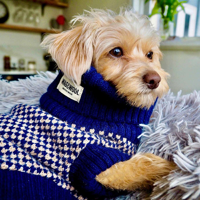 Wag & Wool Navy Dog Jumper