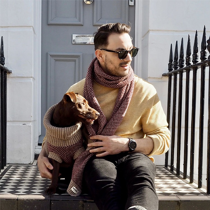 Wag & Wool Burgundy Dog Jumper and Matching Scarf Set