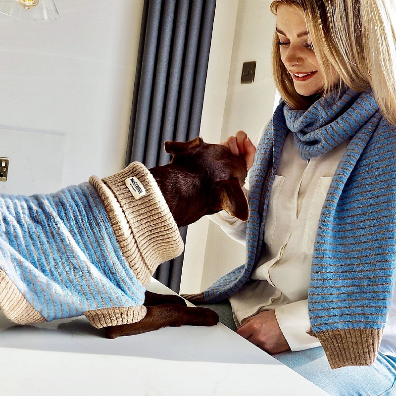 Wag & Wool Light Blue Dog Jumper and Matching Scarf Set