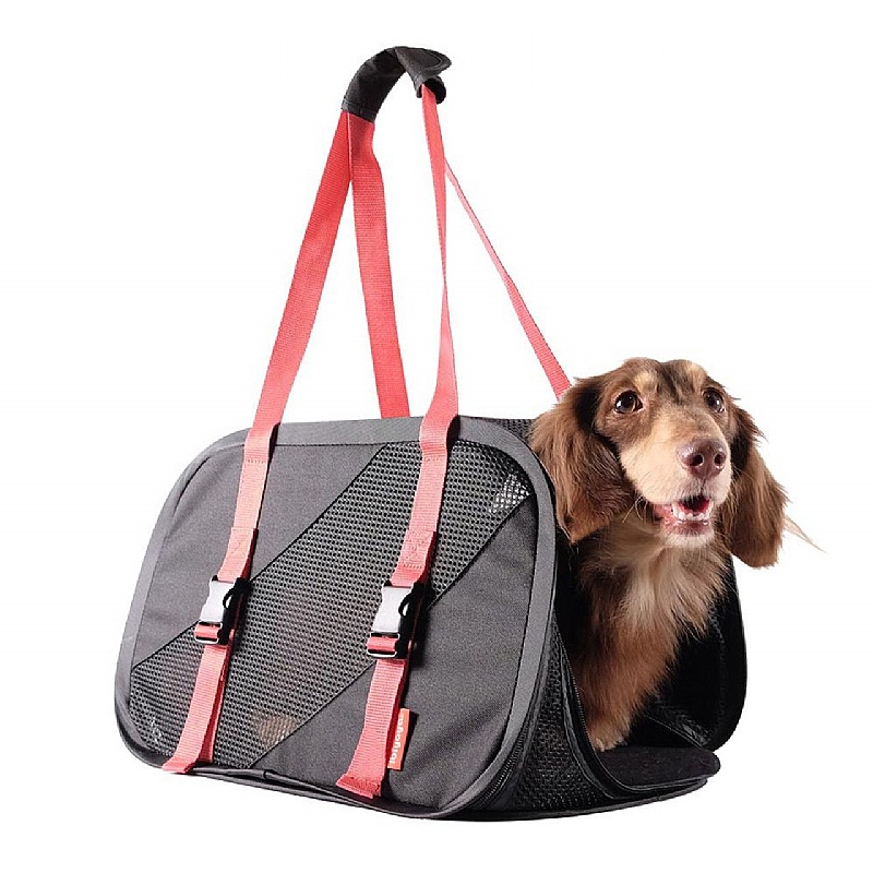 Foldable Dog Travel Carrier