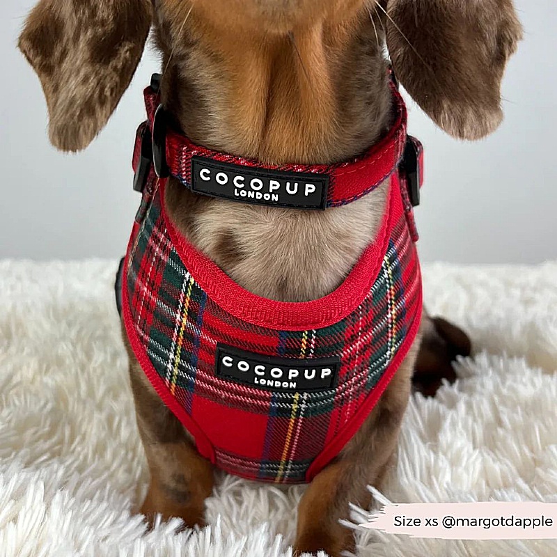 Cocopup London Red Tartan Dog Collar