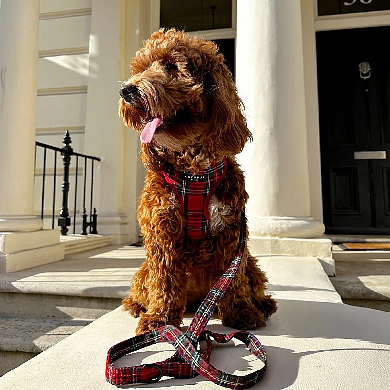 Cocopup London Red Tartan Dog Lead