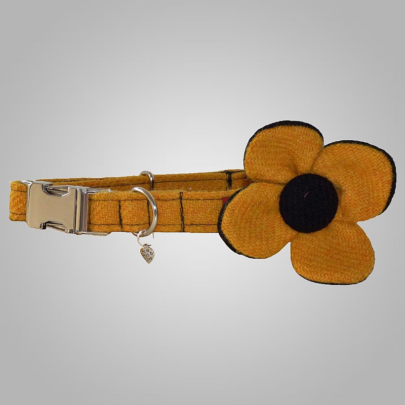 Yellow Harris Tweed Flower Dog Collar - Large