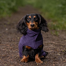 Ruff and Tumble Classic Dog Drying Coats for Short Legged Breeds