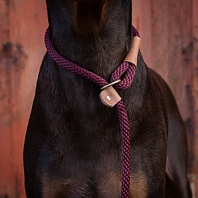 Ruff and Tumble Slip Dog Leads Burgundy