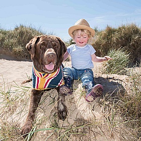 Ruff and Tumble Designer Dog Drying Coats Beach