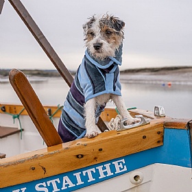 Ruff and Tumble Designer Dog Drying Coats for Short Legged Breeds Harbour