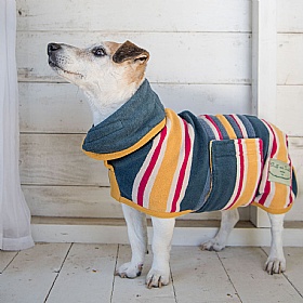 Ruff and Tumble Designer Dog Drying Coats for Short Legged Breeds Beach