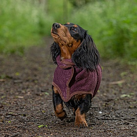 Ruff and Tumble Country Dog Drying Coats for Short Legged Breeds