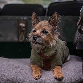 Ruff and Tumble Country Dog Drying Coats for Short Legged Breeds