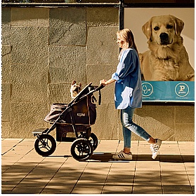 Innopet Adventure Dog Pram - City