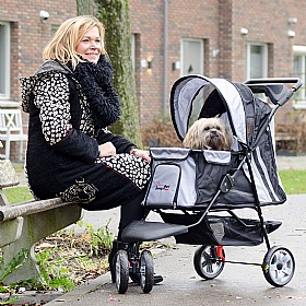 All Terrain Dog Prams - Action