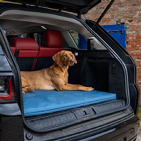 Ruff and Tumble Crate Mat / Boot Bed - Teal