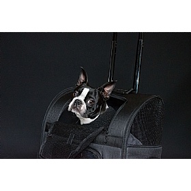 Roller Dog Carrier Backpack - Action