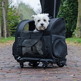 Roller Dog Carrier Backpack - Action