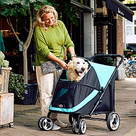 Mamut Dog Pram - Action