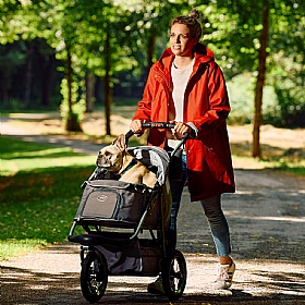 Comfort Air Eco Dog Prams - Action