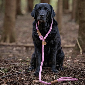 Ruff and Tumble Slip Dog Leads Dusky Pink