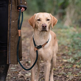 Ruff and Tumble Slip Dog Leads Forest