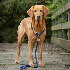 Ruff and Tumble Slip Dog Leads French Navy