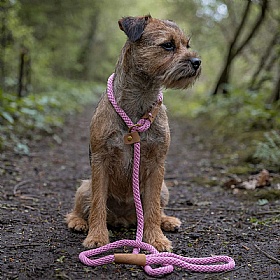 Ruff and Tumble Slip Dog Leads Pink