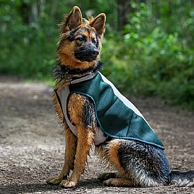 Ruff and Tumble Dog Cooling Coat