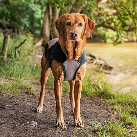 Ruff and Tumble Dog Cooling Coat