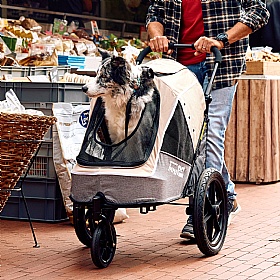 Sporty Evolution Dog Tralier and Dog Prams