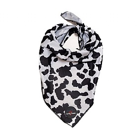 Funk the Dog Bandana Cow Print