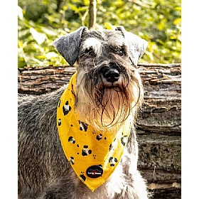 Funk the Dog Bandana Panda Print - Action