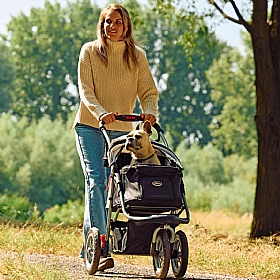 Comfort EFA Eco Dog Prams Rear - Action