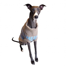 Wag & Wool Light Blue Dog Jumper