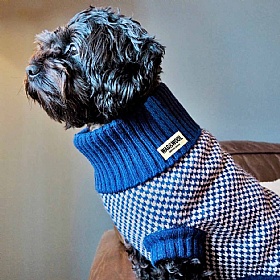 Wag & Wool Navy Dog Jumper