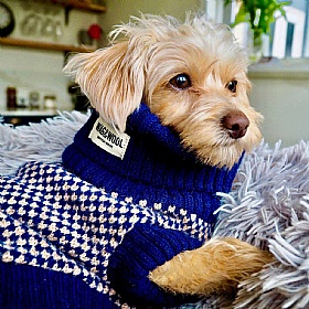 Wag & Wool Navy Dog Jumper