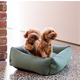 Cotton Bolster Dog Bed Green