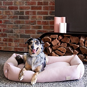 Cotton Bolster Dog Bed Soft Blush