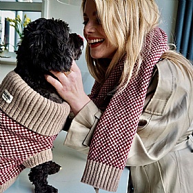 Wag & Wool Burgundy Dog Jumper and Matching Scarf Set