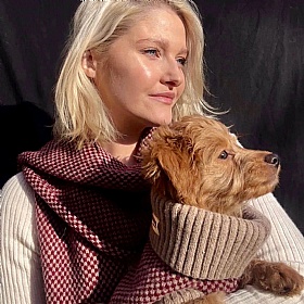 Wag & Wool Burgundy Dog Jumper and Matching Scarf Set