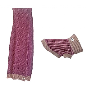 Wag & Wool Burgundy Dog Jumper and Matching Scarf Set