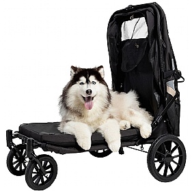 Grand Cruiser Large Dog Pram