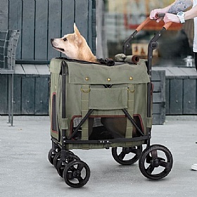 Gentle Giant Dog Pram & Carrier