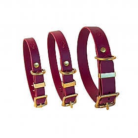 All Weather Biothane Dog Collars Wine