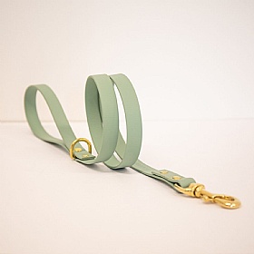 All Weather Biothane Dog Leads Sage