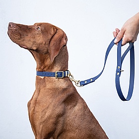 All Weather Biothane Dog Leads Navy