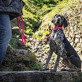 All Weather Biothane Dog Leads Fuchsia